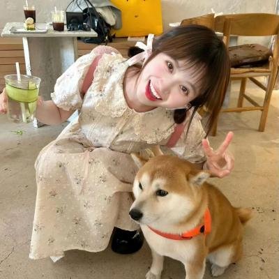 书记日记