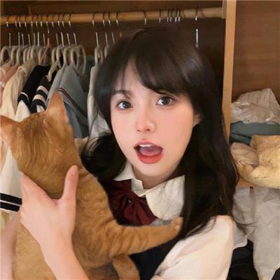 奶牛阴谋