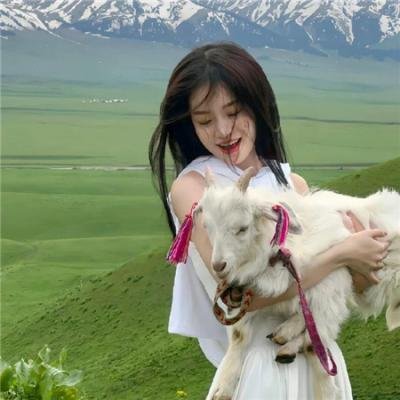这是什么鬼
